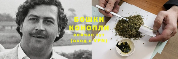 соль ск Мегион